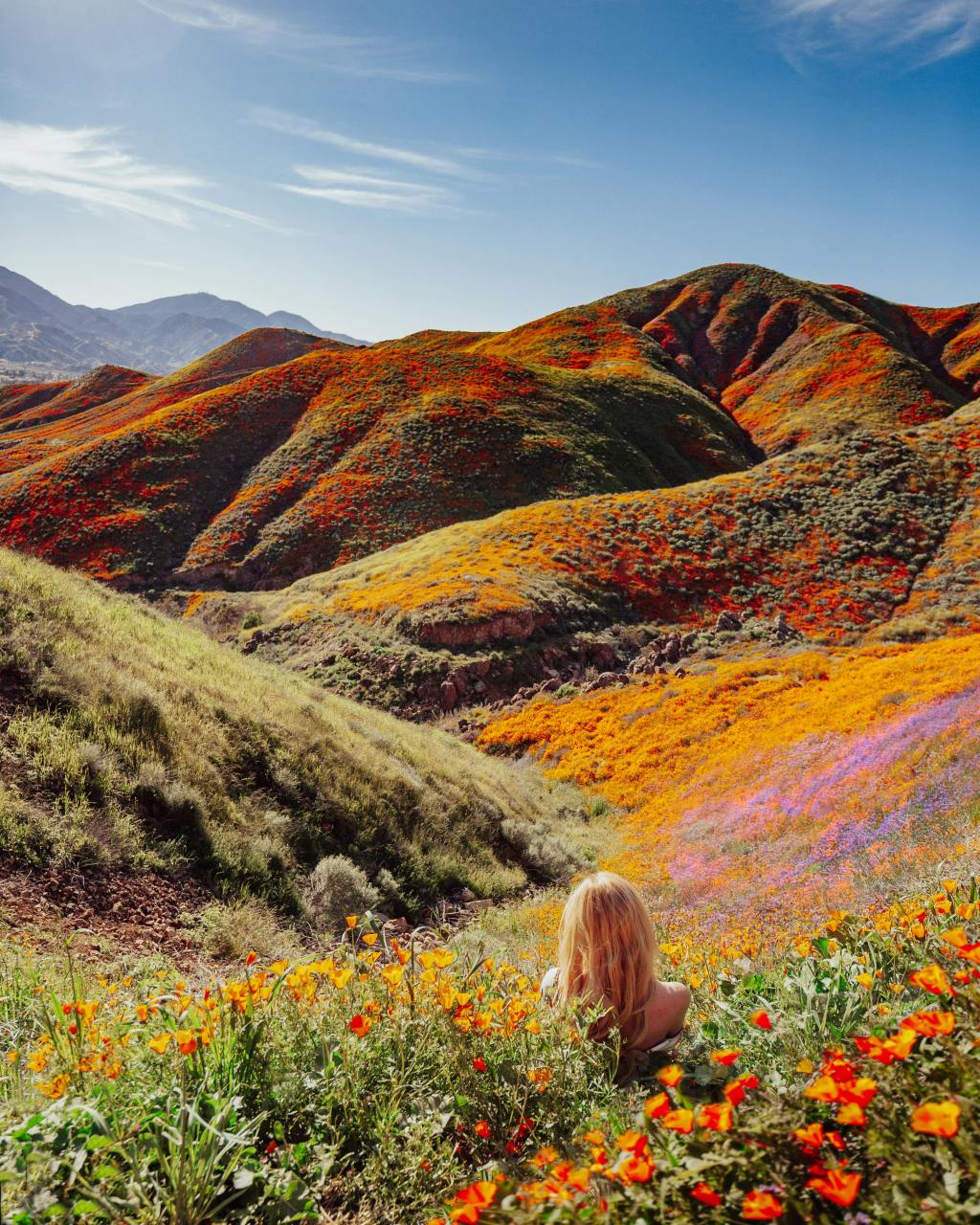 Stimuler l&rsquo;espoir : La prévention du suicide et la&nbsp;solidarité